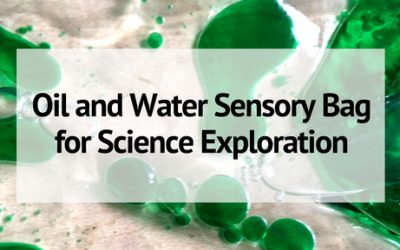 Oil and Water Sensory Bag for Science Exploration