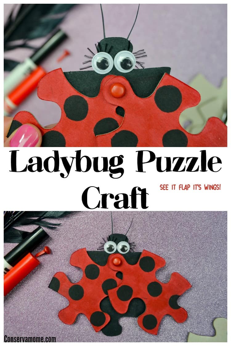 Ladybug Slime and How to Get the Best Slime Color