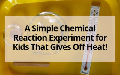 Fun Chemical Reaction Experiment for Kids That Gives Off Heat!