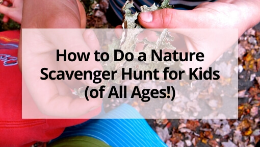 How To Do A Nature Scavenger Hunt For Kids (of All Ages!)