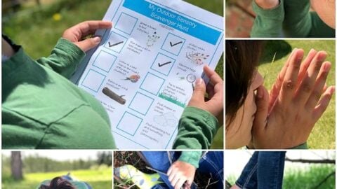 Image for Outdoor Sensory Scavenger Hunt for Kids