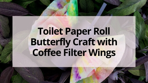 Easy Toilet Paper Roll Butterfly Craft with Coffee Filter Wings