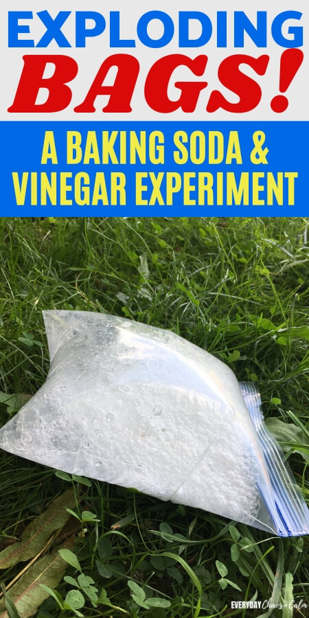 exploding bags a baking soda and vinegar experiment