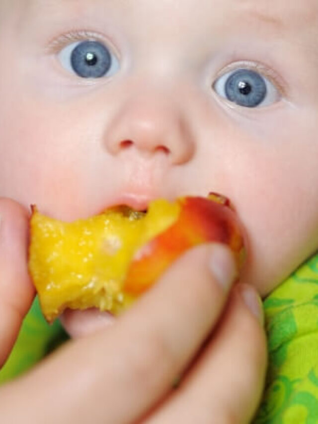 9 Easiest Baby Foods to Make Yourself in Minutes Story