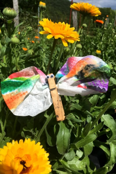 coffee filter and clothes pin butterfly sitting in a calendula flower plant