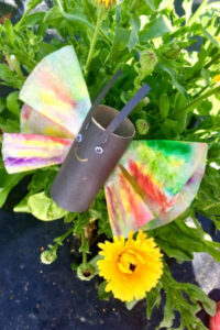 Easy Toilet Paper Roll Butterfly Craft With Coffee Filter Wings