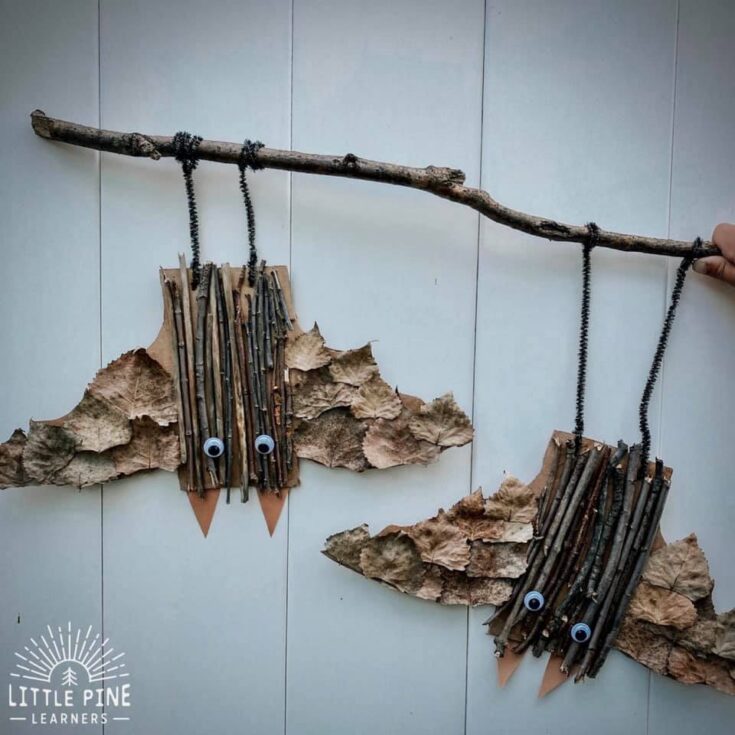 Image for Adorable Bat Nature Craft