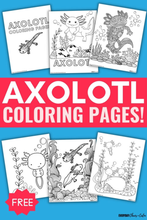 5 Free Axolotl Coloring Pages (PDF Download!)