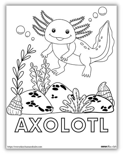5 Free Axolotl Coloring Pages PDF Download 