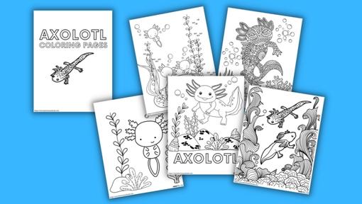 5 Free Axolotl Coloring Pages (PDF Download!)