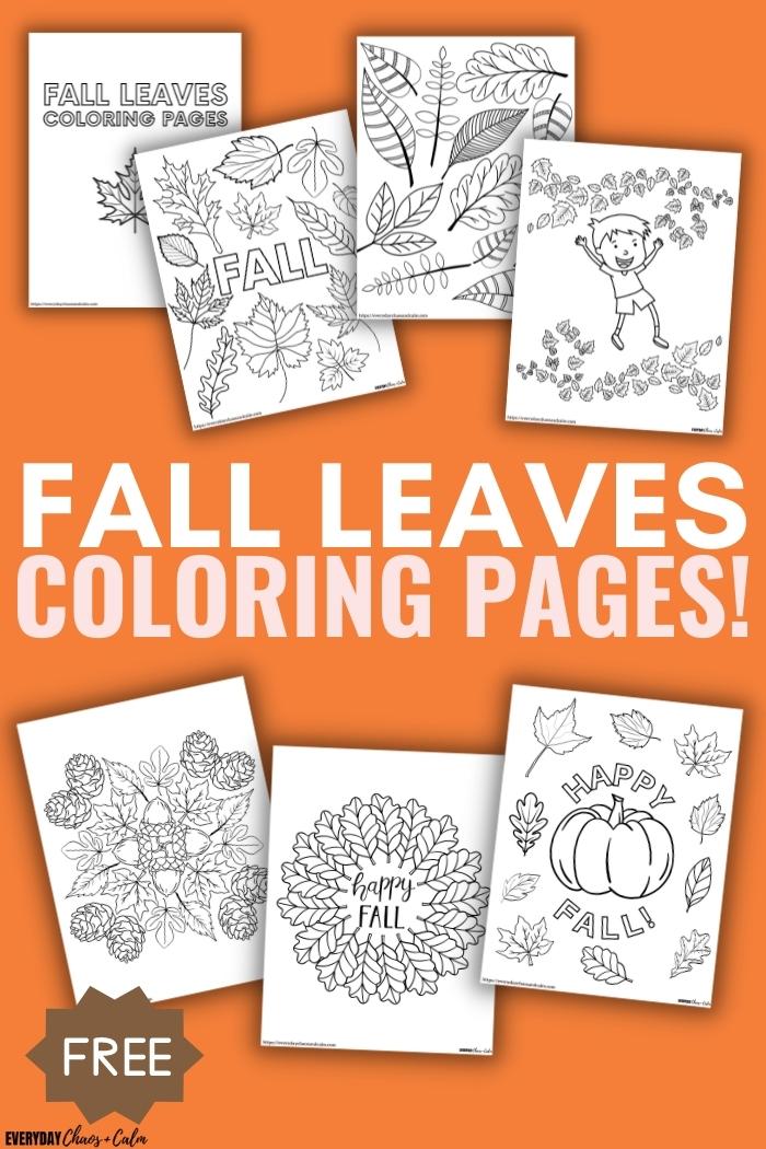 fall leaves coloring pages examples on orange background
