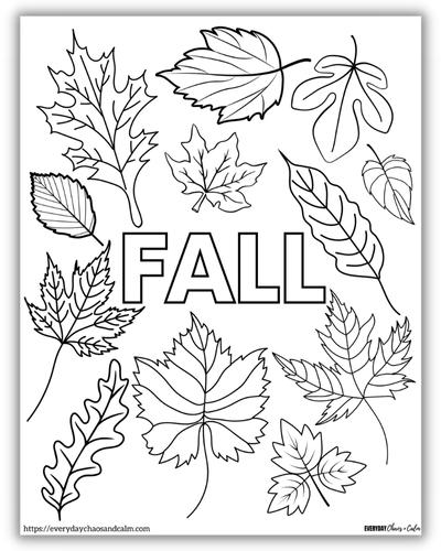 leaves all around the word FALL in all caps