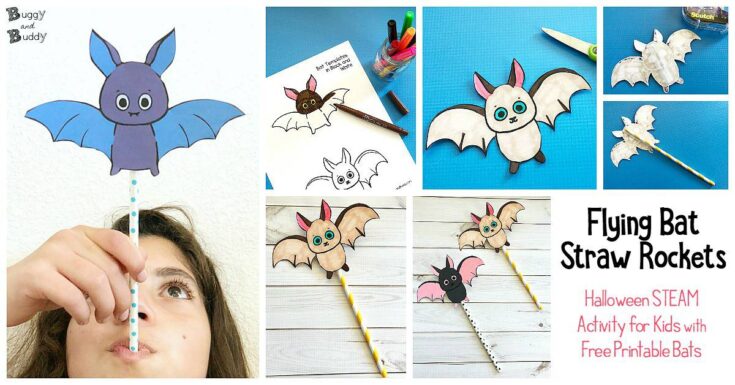 Image for Flying Bat Straw Rockets