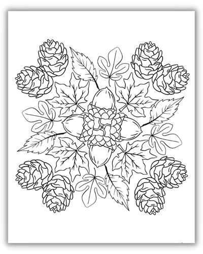 leaves acorns and pine cones in a symmetrical circle design