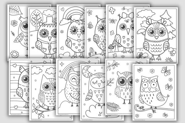 owl coloring book with example pages
