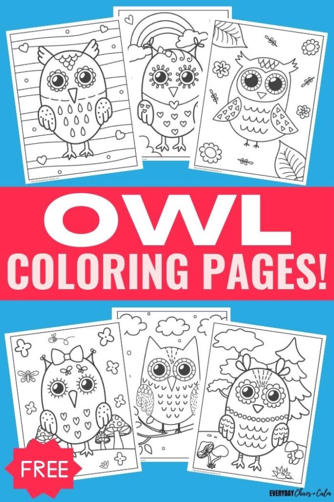 owl coloring pages with example pages in black and white