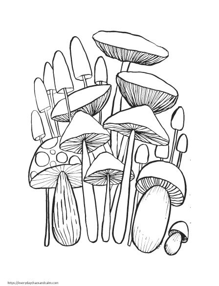 group of mushrooms and toadstools in black and white
