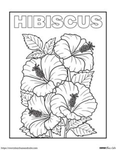 12 Free Realistic Flower Coloring Pages For All Ages