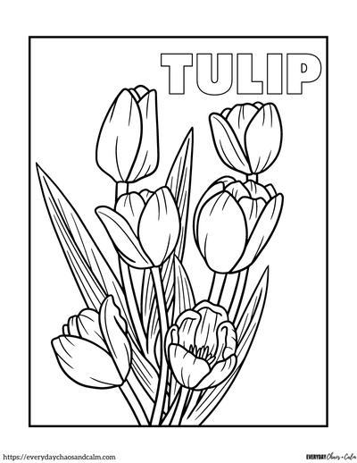 tulip coloring page