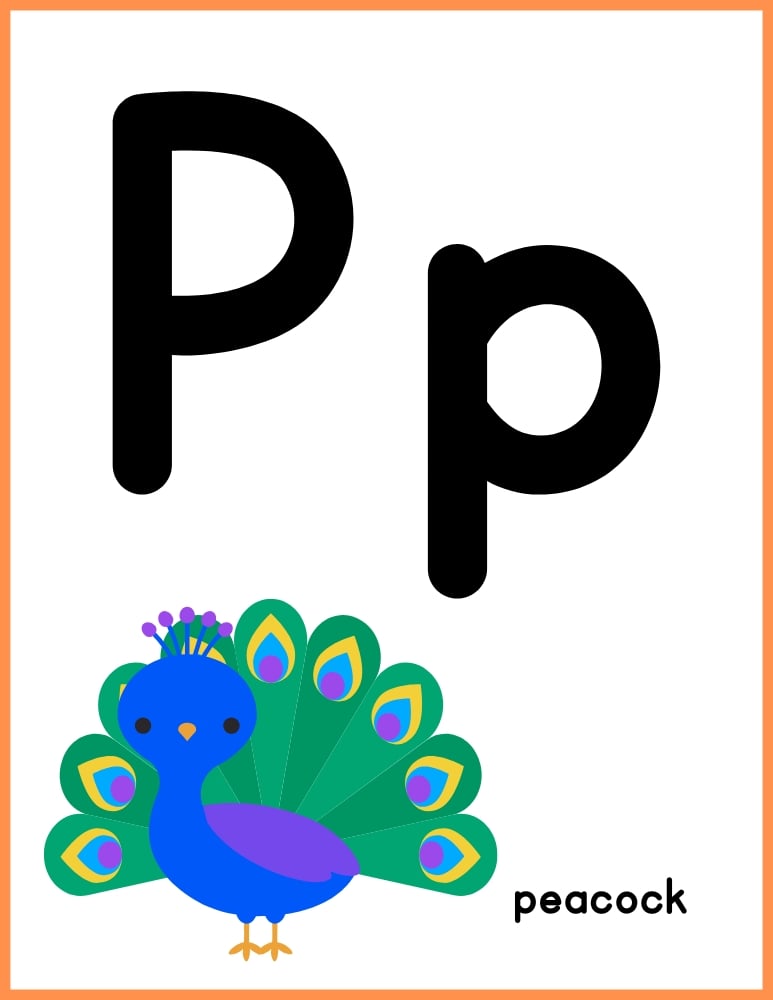 printable color alphabet poster by letter, phonics, preschool, education printable, PDF, instant download, 