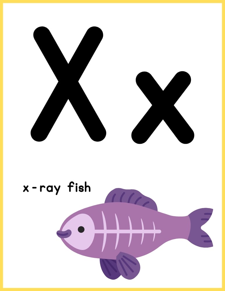 printable color alphabet poster by letter, phonics, preschool, education printable, PDF, instant download, 