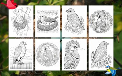 Free Bird Coloring Pages for Kids and Adults