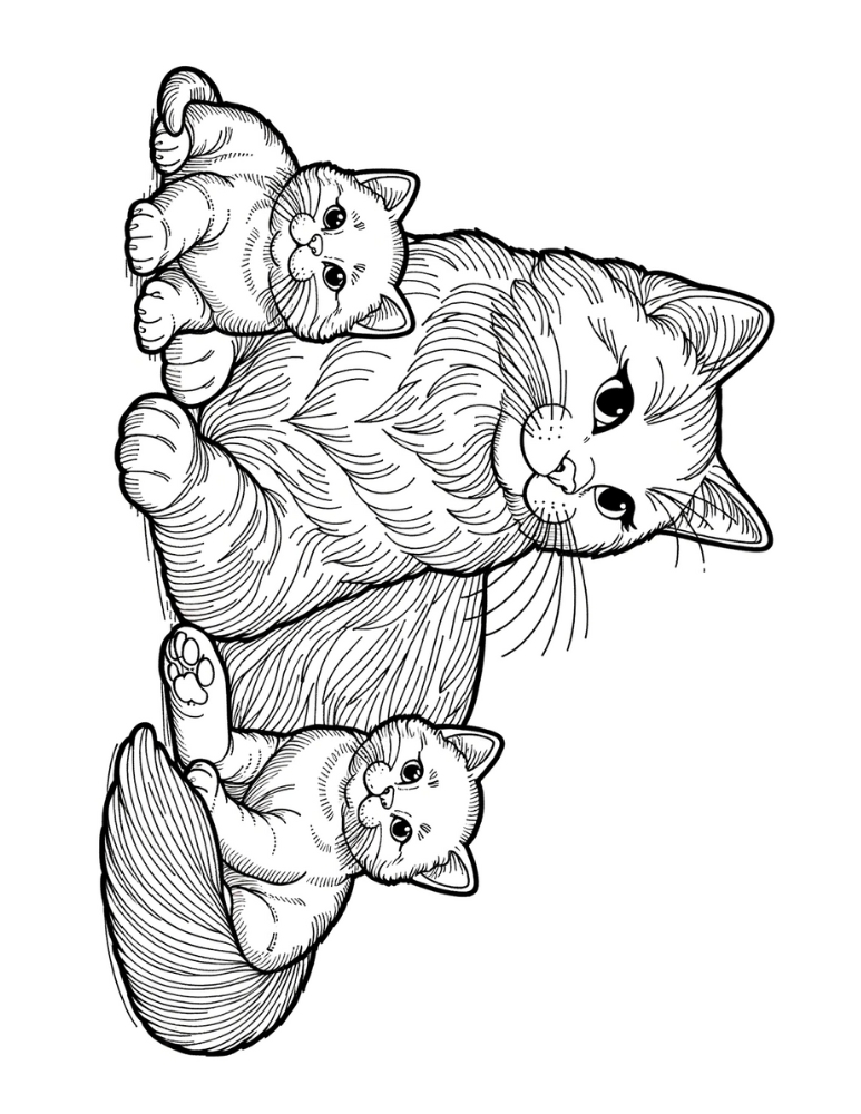 cat coloring page, PDF, instant download, kids