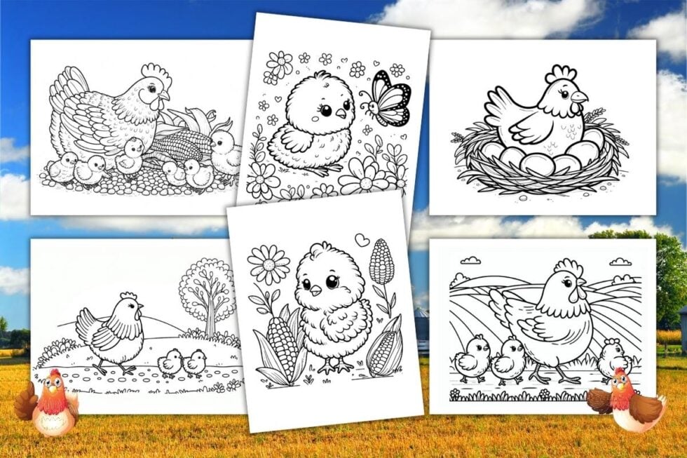 Free Chicken Coloring Pages For Kids