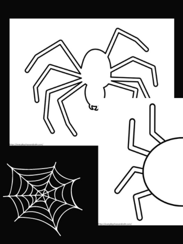 Free Printable Spider Template and Outlines Story