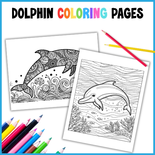 dolphin coloring pages