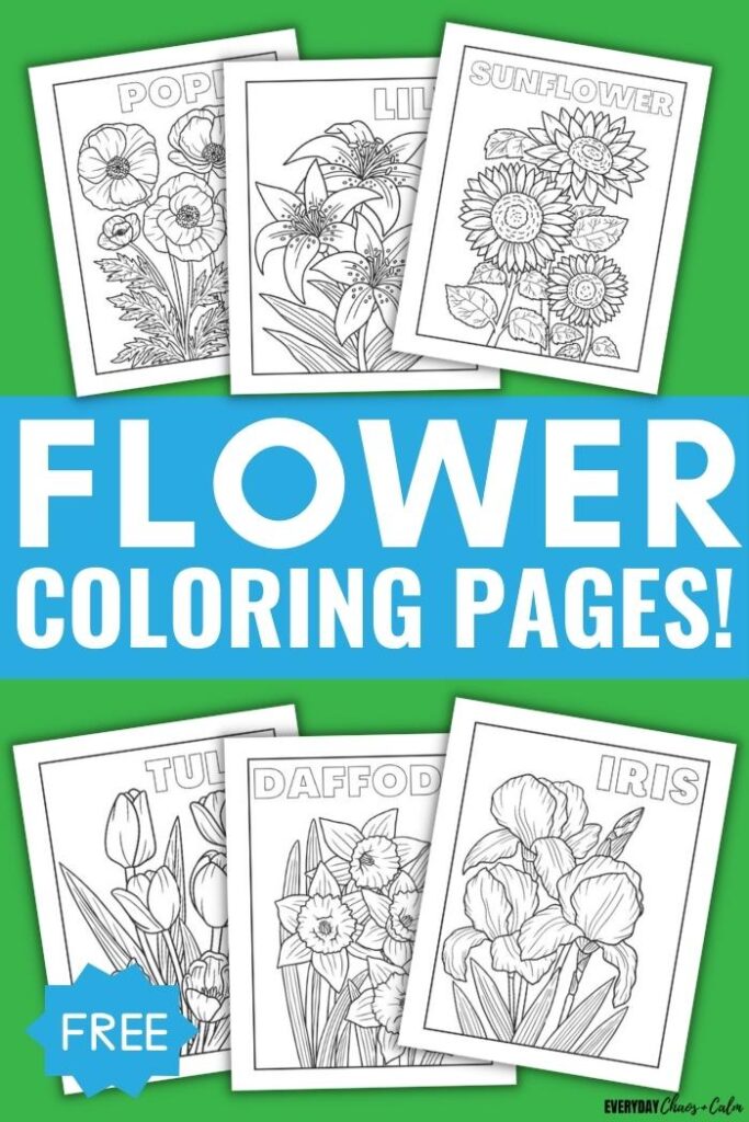 flower coloring pages text with example pages 