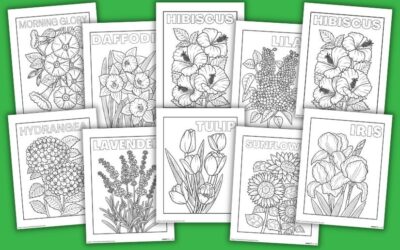 12 Free Realistic Flower Coloring Pages for All Ages
