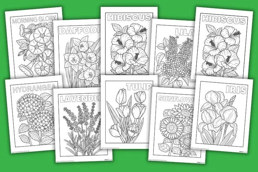 detailed flower coloring pages for adults
