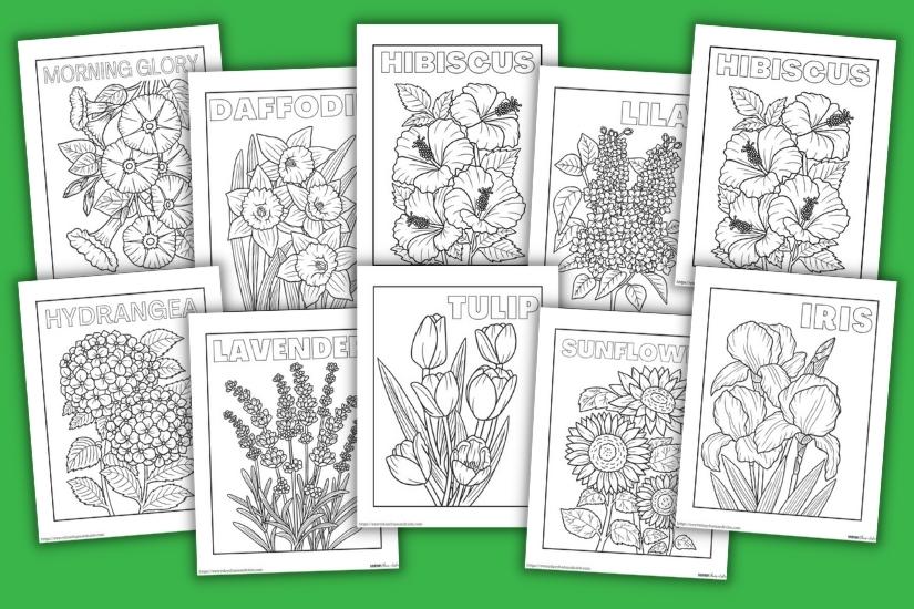 12 Free Realistic Flower Coloring Pages For All Ages