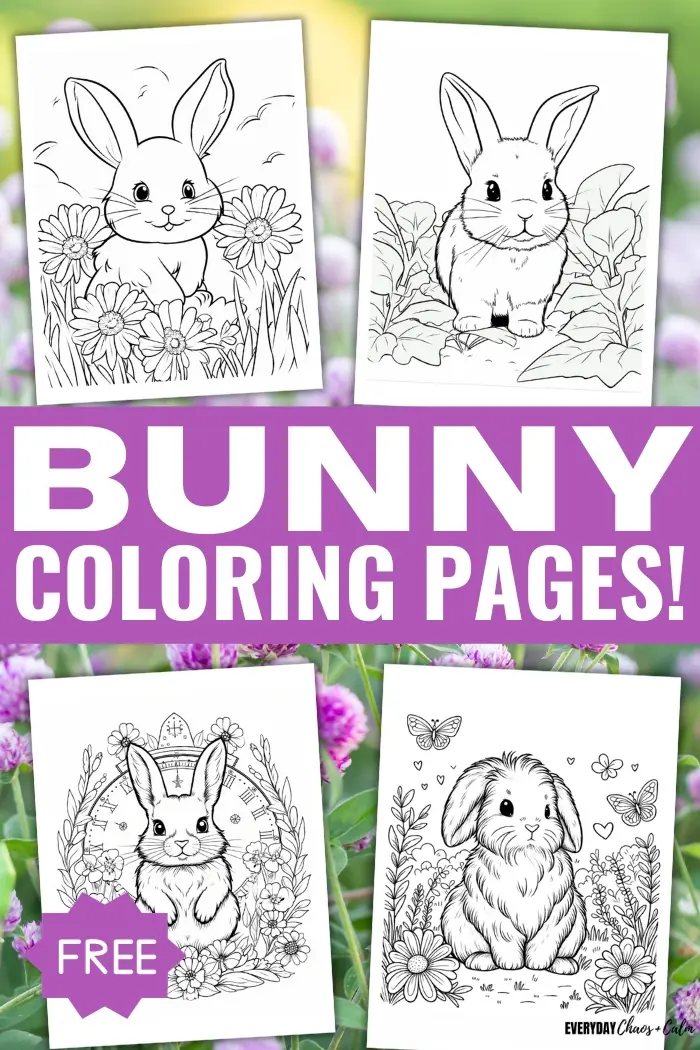 Free rabbit drawing to print and color - Rabbits & Bunnies Kids