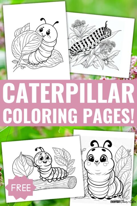 Free Caterpillar Coloring Pages For Kids