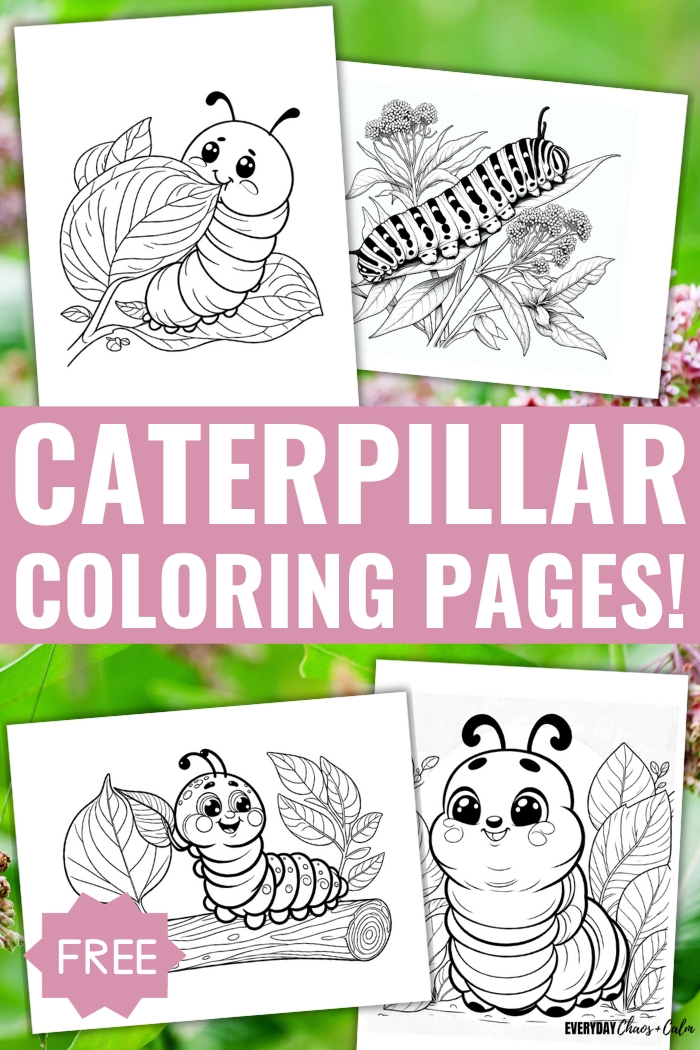 free caterpillar coloring pages