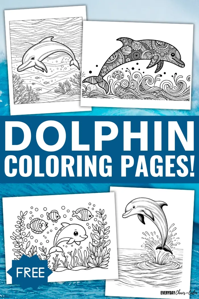 Dolphin Coloring Book: Dolphin Coloring Books For Adults And Kids