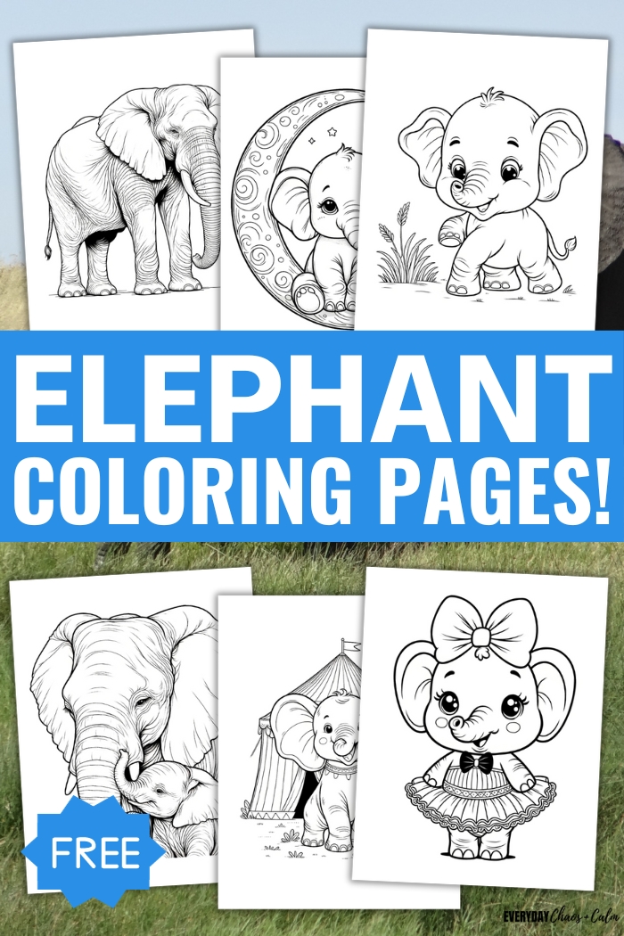free elephant coloring pages