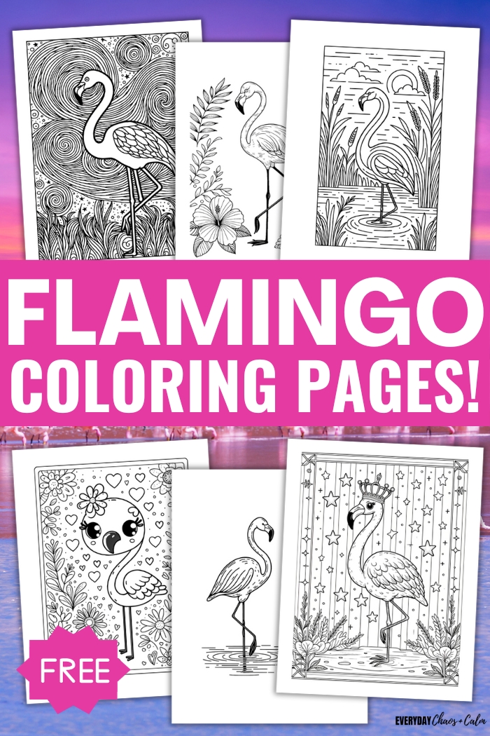 free flamingo coloring pages