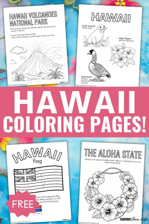 Free Educational Hawaii Coloring Pages For Kids