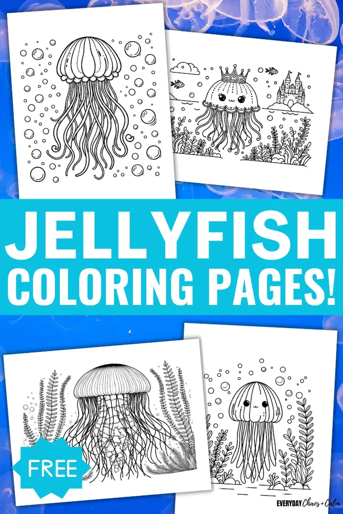 jellyfish pictures to color
