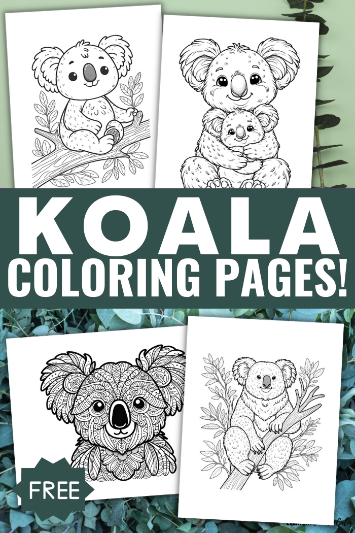free koala coloring pages
