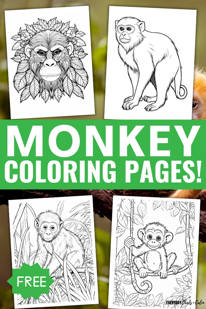 free monkey coloring pages