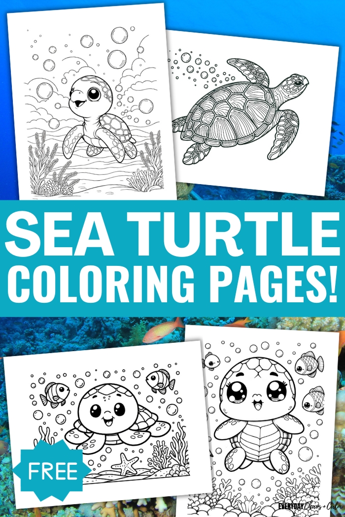 free sea turtle coloring pages