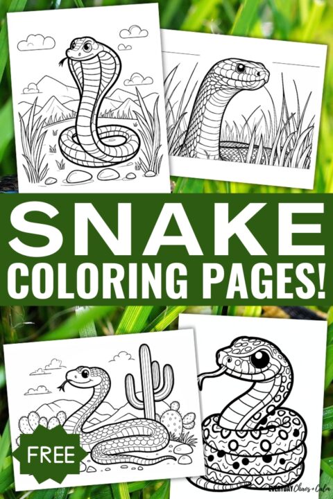 Free Printable Snake Coloring Pages