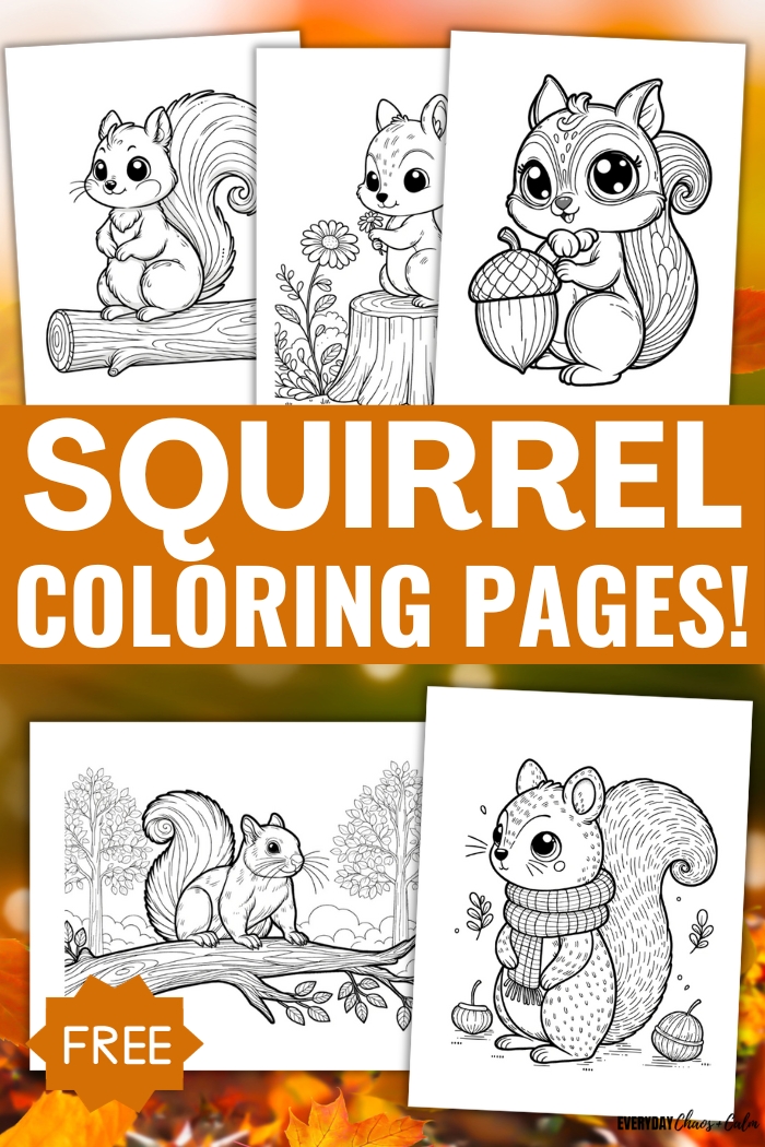 free squirrel coloring pages