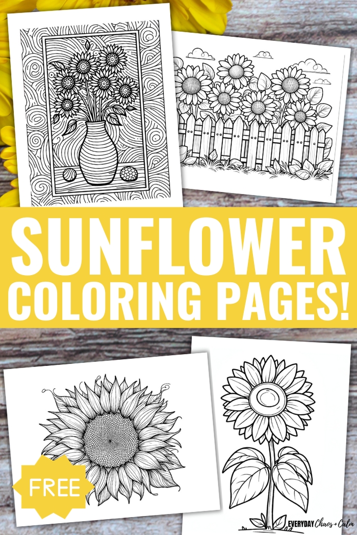 free sunflower coloring pages