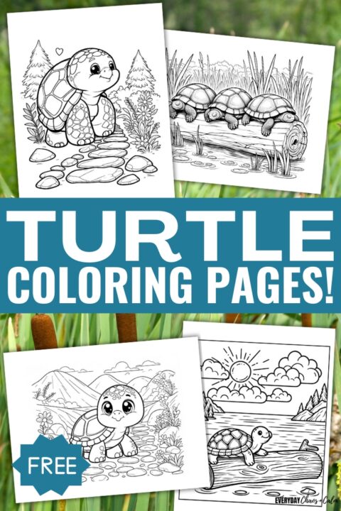 Free Printable Turtle Coloring Pages