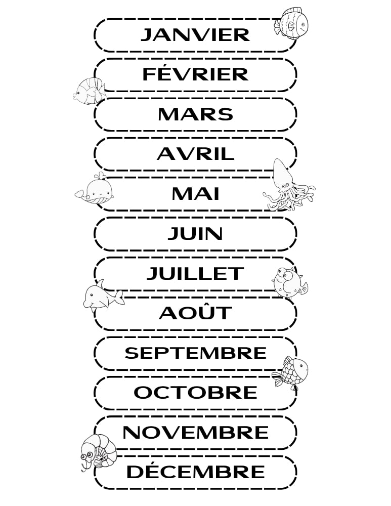 months of the year in French chart, printable elementary language learning resource, visual vocabulary builder, PDF, instant download